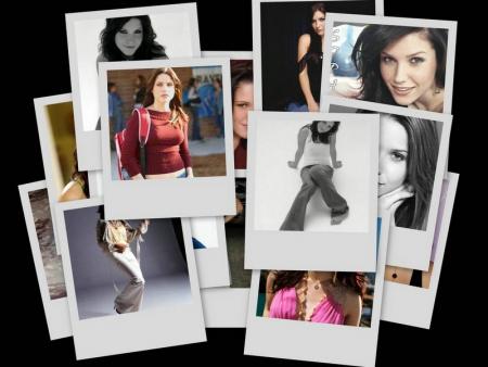 montage Sophia